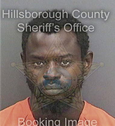 Demetrius James, - Hillsborough County, FL 