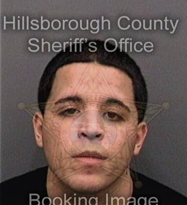 Dustin Joyce, - Hillsborough County, FL 