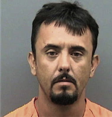 Luis Prolandazuri, - Hillsborough County, FL 