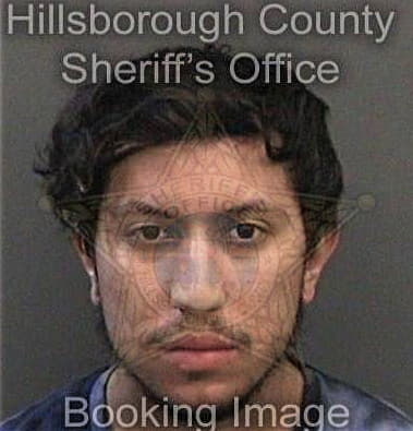 Michael Secor, - Hillsborough County, FL 