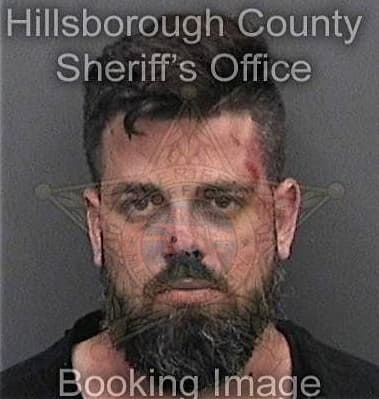 Hector Serranotorres, - Hillsborough County, FL 