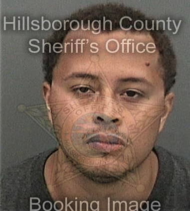 Marcus Sverko, - Hillsborough County, FL 