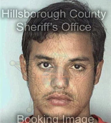 Cesar Vargas, - Hillsborough County, FL 