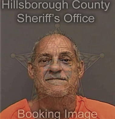 Yelson Zepedamercado, - Hillsborough County, FL 