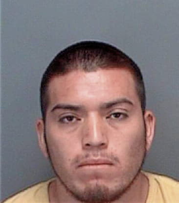 David Bautista, - Pinellas County, FL 