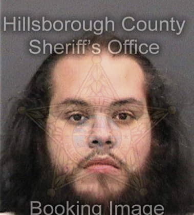 Jose Delportecruz, - Hillsborough County, FL 