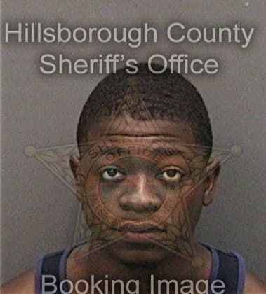 Michael Gilliard, - Hillsborough County, FL 