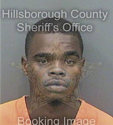 Ian Grice, - Hillsborough County, FL 