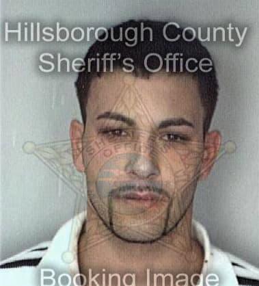 David Michel - Hillsborough County, FL 
