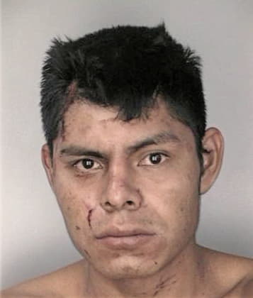 Jose Milletlopez - Hillsborough County, FL 