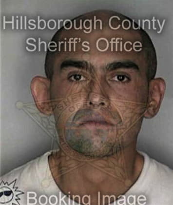 Javier Ortiztamayo, - Hillsborough County, FL 