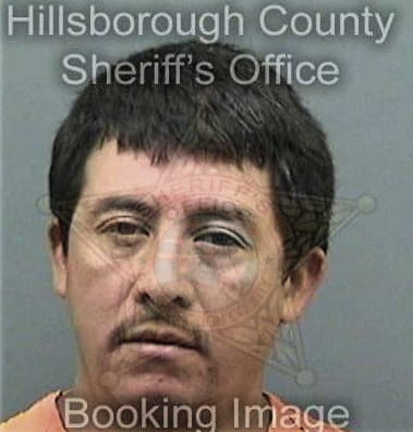 Ricardo Sosatellez, - Hillsborough County, FL 