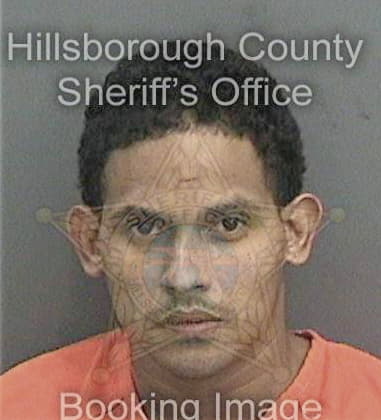 Harry Stewart, - Hillsborough County, FL 