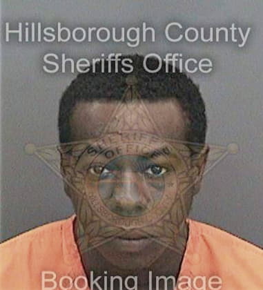 Tyrone Erving, - Hillsborough County, FL 