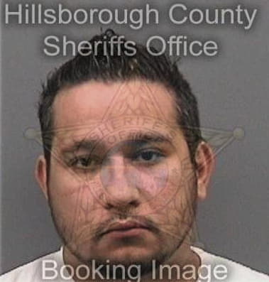 Robert Fernandez, - Hillsborough County, FL 