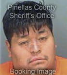 Wayne Gonzalez, - Pinellas County, FL 