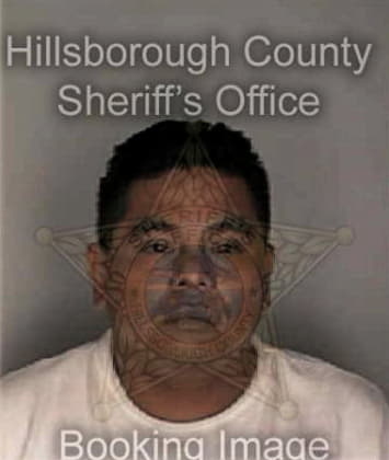 Daniel Hensley - Hillsborough County, FL 