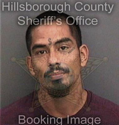 Edward Mayberry - Hillsborough County, FL 