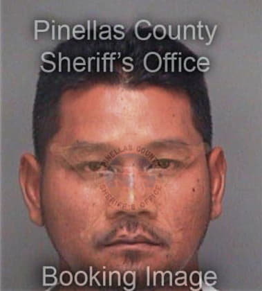 Aaron Chan, - Pinellas County, FL 