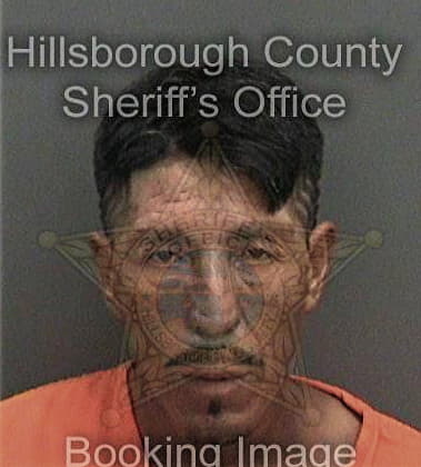 Joshua Daughtry, - Hillsborough County, FL 