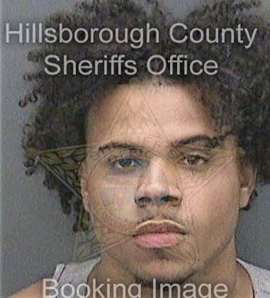 Michael Higginbotham, - Hillsborough County, FL 