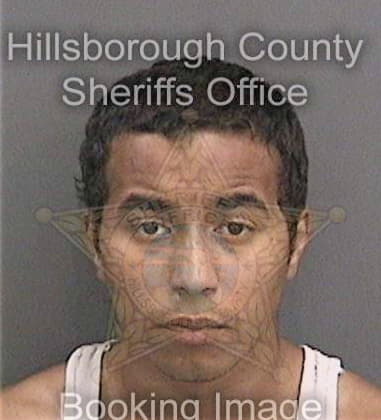 Richard Leli, - Hillsborough County, FL 