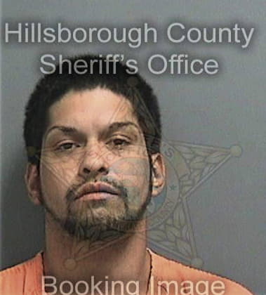 Randall Linke, - Hillsborough County, FL 