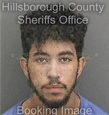 Esteban Perezangeles, - Hillsborough County, FL 