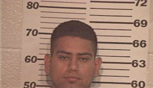 Enrique Trejo, - Hidalgo County, TX 