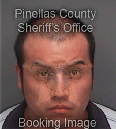 Carlos Zunigabravo, - Pinellas County, FL 