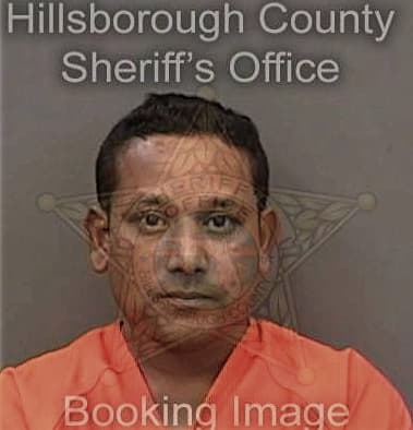 Amir Bhuiyan - Hillsborough County, FL 