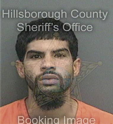 Hediberto Delgadorico, - Hillsborough County, FL 