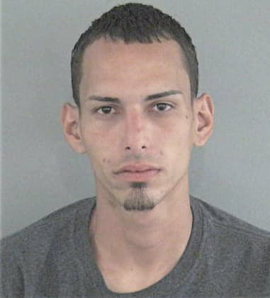 Jose Dominguez-Gonzalez, - Sumter County, FL 