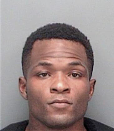 Nicholas Massey - Pinellas County, FL 