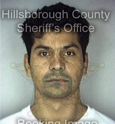Richard McLean - Hillsborough County, FL 