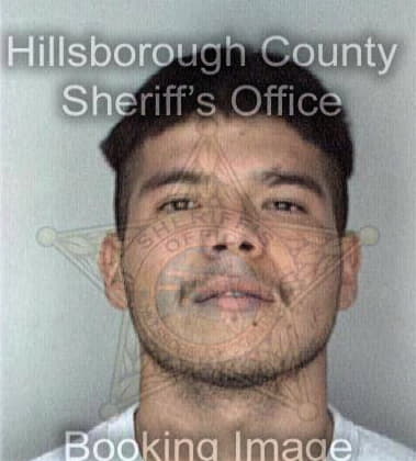 Anthony Morales, - Hillsborough County, FL 