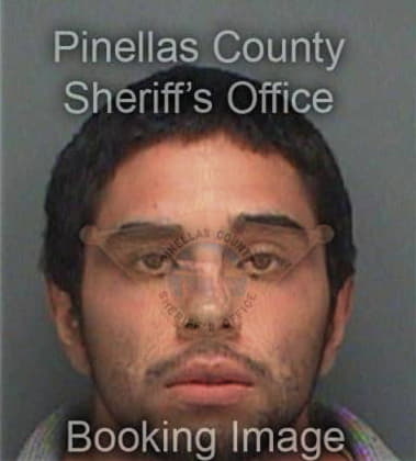 John Ortmann, - Pinellas County, FL 