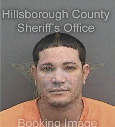 Daniel Quimbayojaramillo, - Hillsborough County, FL 