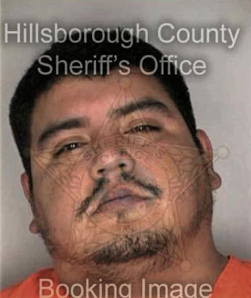 Victor Arellano, - Hillsborough County, FL 