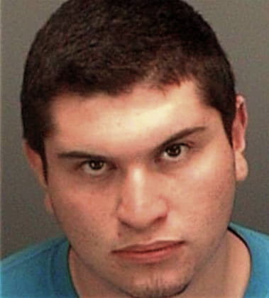 James Mattson - Pinellas County, FL 