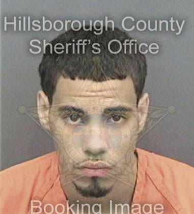Sean McDonald - Hillsborough County, FL 