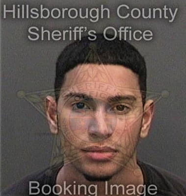 Joshua Menendez - Hillsborough County, FL 