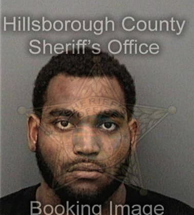 Alfre Johnson, - Hillsborough County, FL 