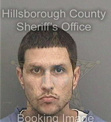 Omar Lopezfigueroa, - Hillsborough County, FL 