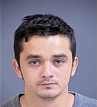 Fernando Marin-Solis, - Charleston County, SC 