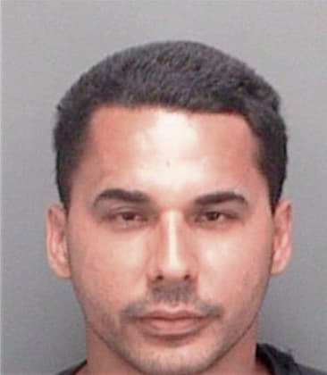 Luis Martinez, - Pinellas County, FL 