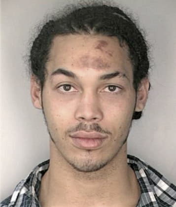 Daniel McGuire - Hillsborough County, FL 