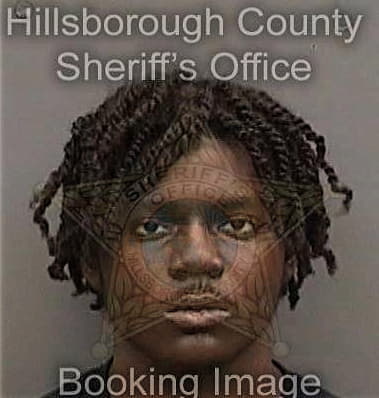 Reginal Roberts - Hillsborough County, FL 