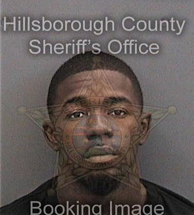 Anthony Sneed, - Hillsborough County, FL 