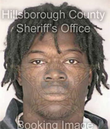 Joshua White - Hillsborough County, FL 